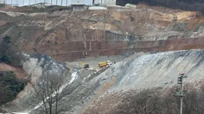 TMMOB Çevre Mühendisleri Odası’ndan Bursa'daki çevre felaketi için soruşturma talebi