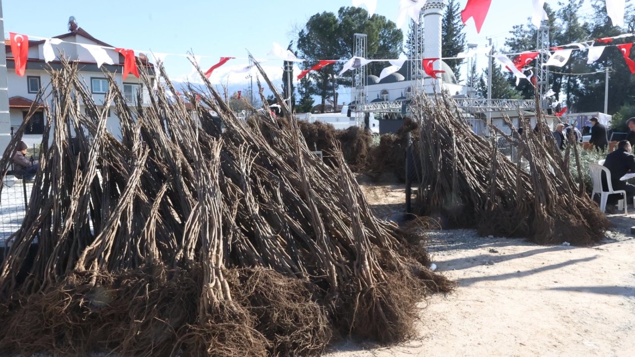 Üreticilere balık yemi desteği