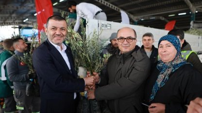 Üreticiye 84 bin sertifikalı zeytin fidanı