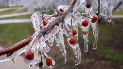 Uzmanlar uyarıyor: Meyve bahçelerinde don riski için mikro-sprinkler çözümleri öne çıkıyor