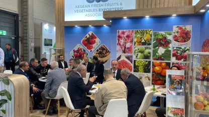 Yaş meyve sebze sektöründen Almanya’ya çıkarma