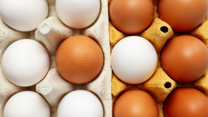 Yumurtanın doğrudan arzında limit artışı... Resmi Gazete'de yayımlandı