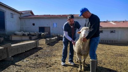 ABB'den kırsala veterinerlik hizmeti
