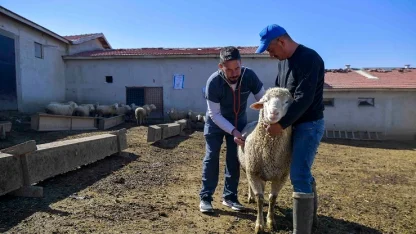 ABB'den kırsala veterinerlik hizmeti