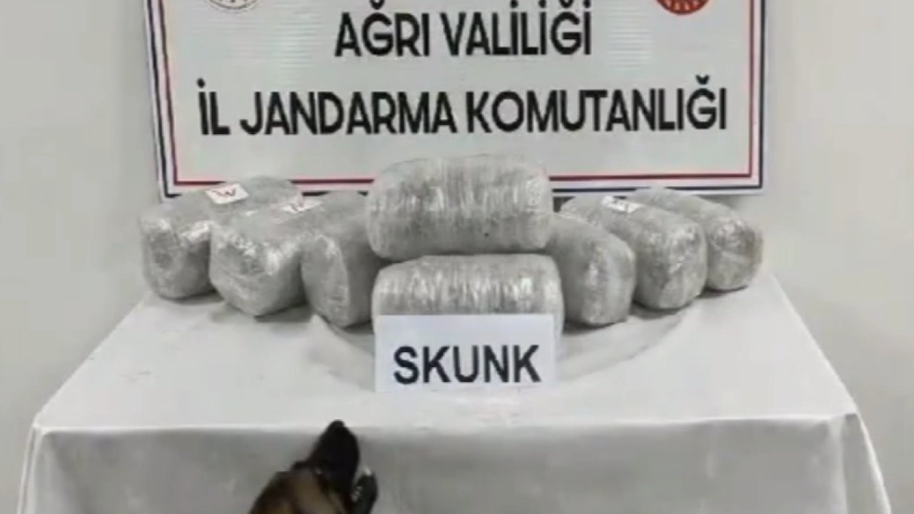 Ağrı’da 10 kilogram skunk ele geçirildi