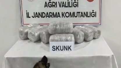 Ağrı’da 10 kilogram skunk ele geçirildi