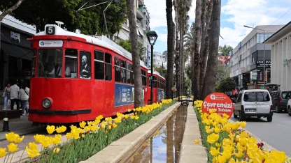 Antalya lalelerle görsel şölene dönüştü