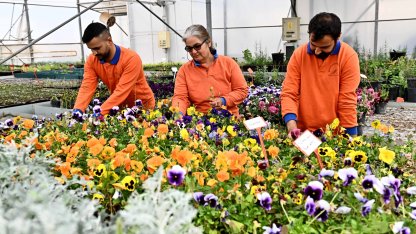 Antalya Muratpaşa’dan sürdürülebilir üretim modeli