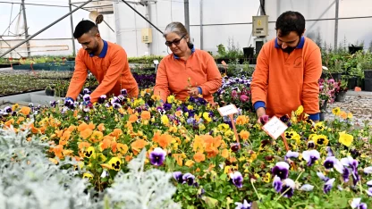 Antalya Muratpaşa’dan sürdürülebilir üretim modeli