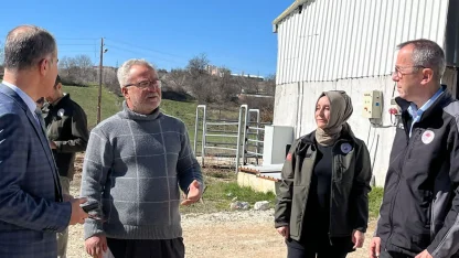 Bilecik Pazaryeri’nde tarım ve hayvancılık faaliyetlerine Müdür Ayvalık'tan yerinde inceleme
