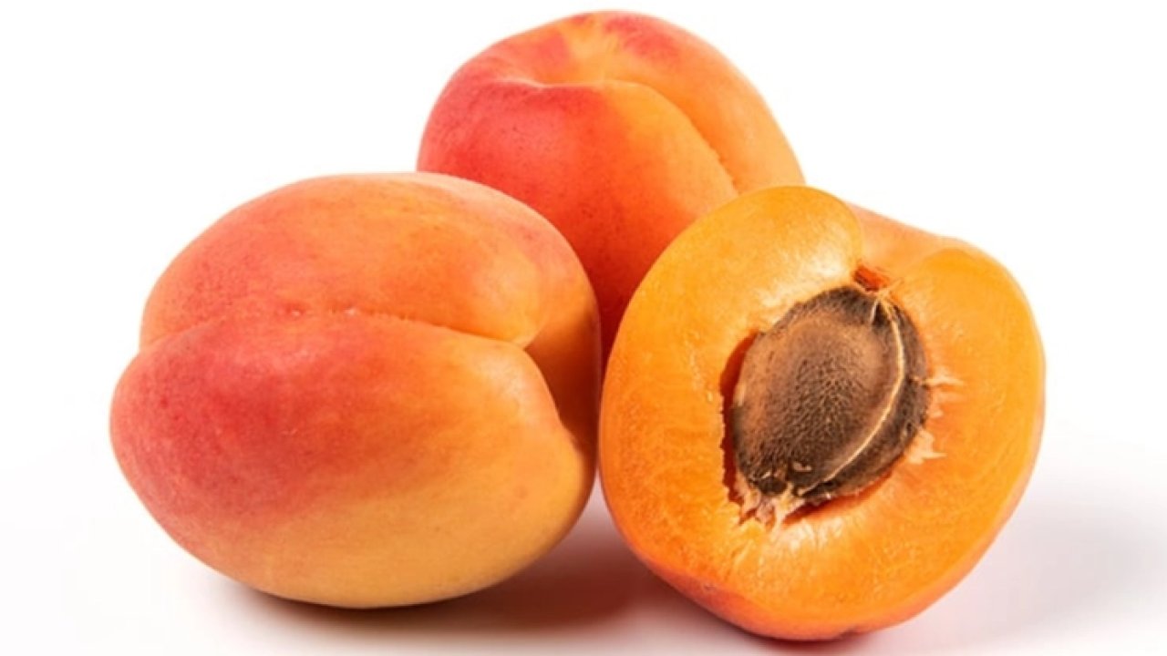 Bitkisel ürünlerde en yüksek yeterlilik kayısı ve zerdalide