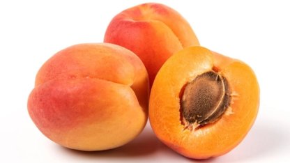 Bitkisel ürünlerde en yüksek yeterlilik kayısı ve zerdalide