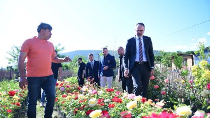 Bursa Kestel'de süs bitkileri üreticilerine destek