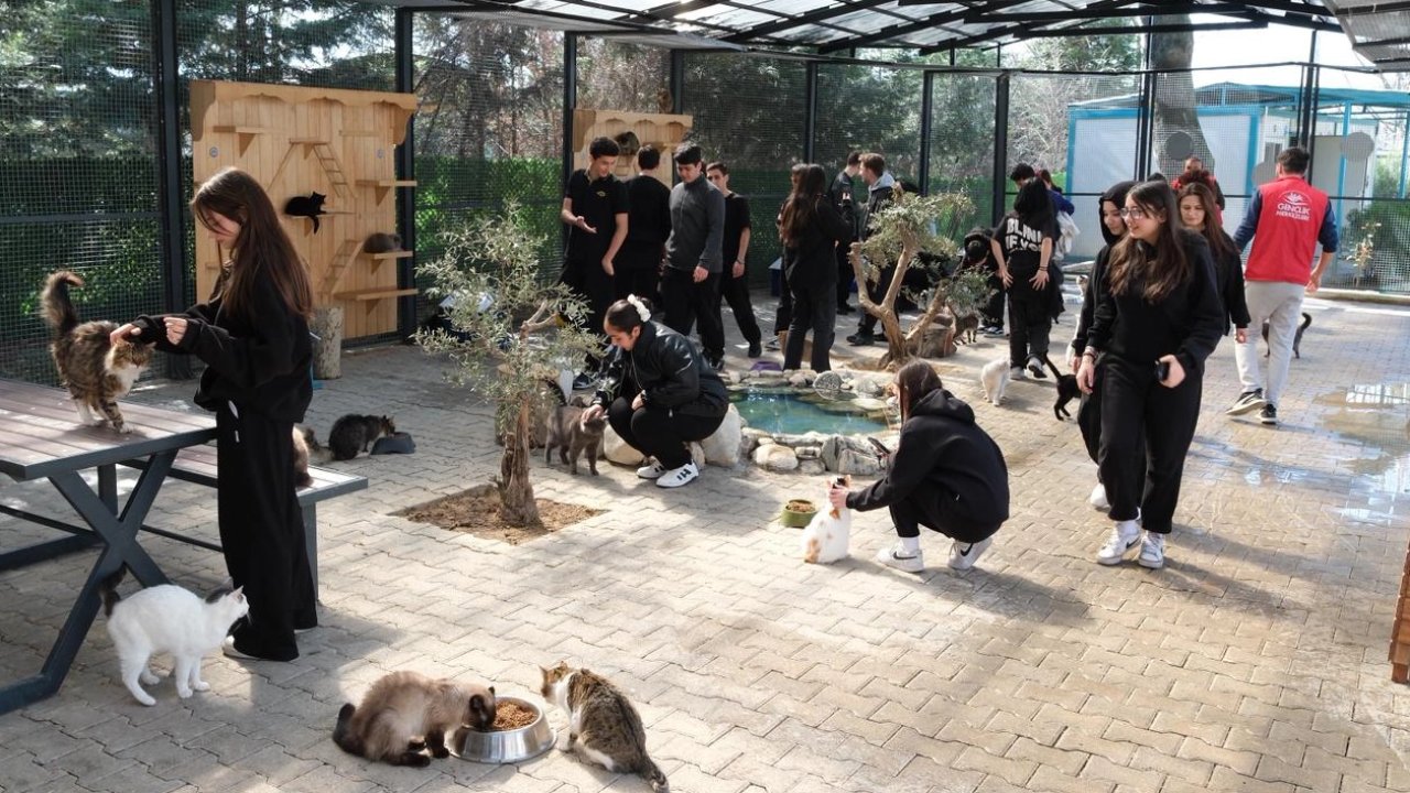 Bursa Yıldırım’da gençlerden patili dostlara sevgi ziyareti