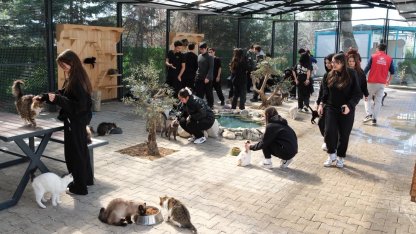 Bursa Yıldırım’da gençlerden patili dostlara sevgi ziyareti