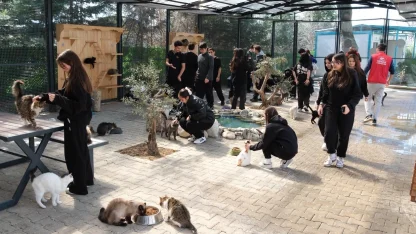 Bursa Yıldırım’da gençlerden patili dostlara sevgi ziyareti