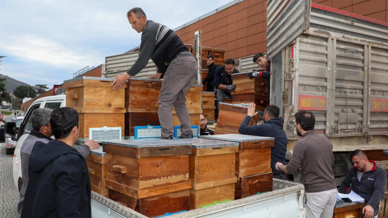 Bursa'da arıcılık Büyükşehir'le canlandı