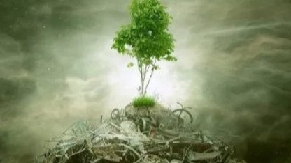 ÇED 'gerekli değil' kararı kaldırıldı! Yönetmelikle süreçler değişti