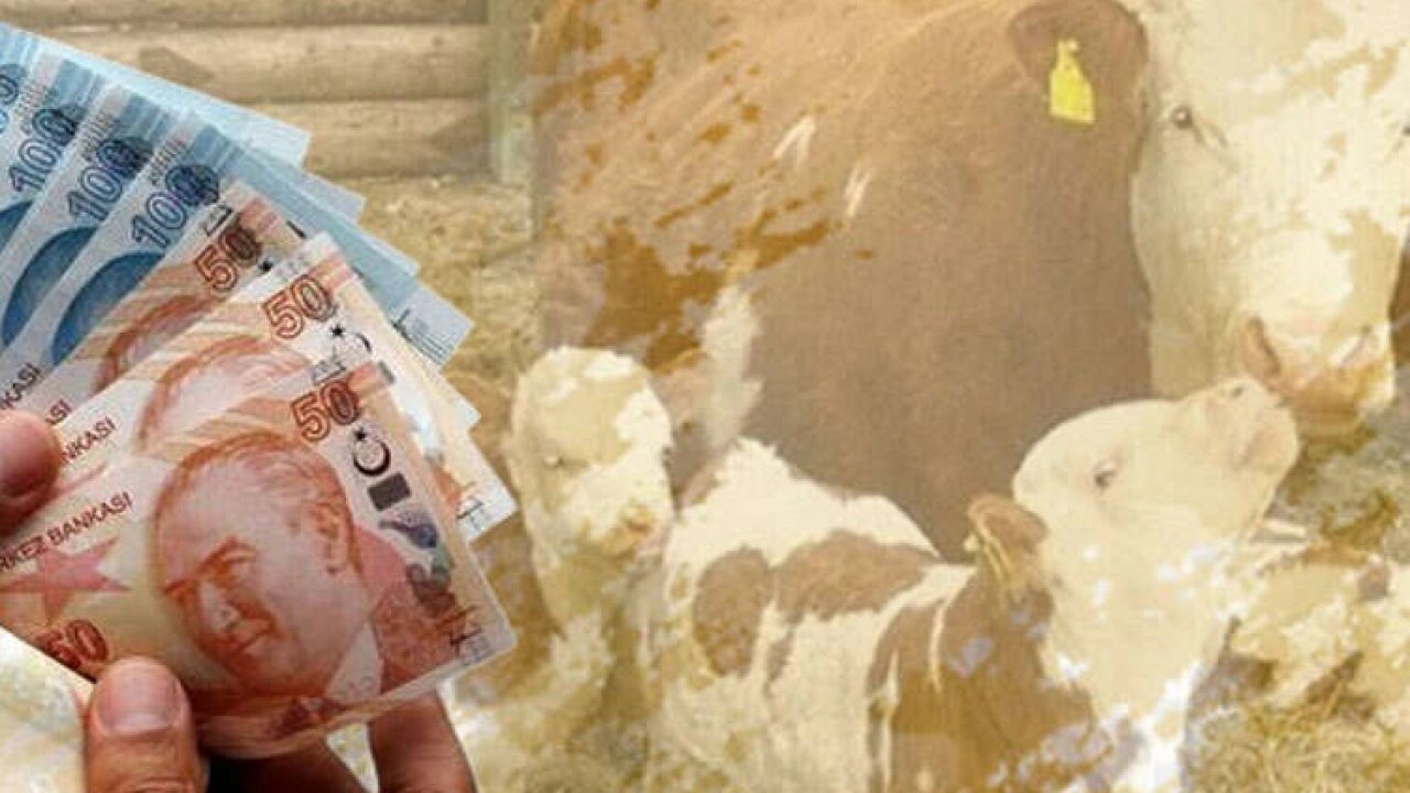 Çiftçilere 10,7 milyar TL tarımsal destek ödemesi yapılacak