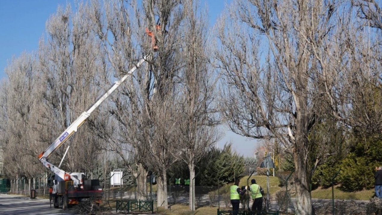Eskişehir Sazova Parkı’nda çalışmalar devam ediyor