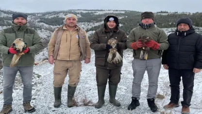 Eskişehir'de tedavi edilen yırtıcı kuşlar doğaya salındı