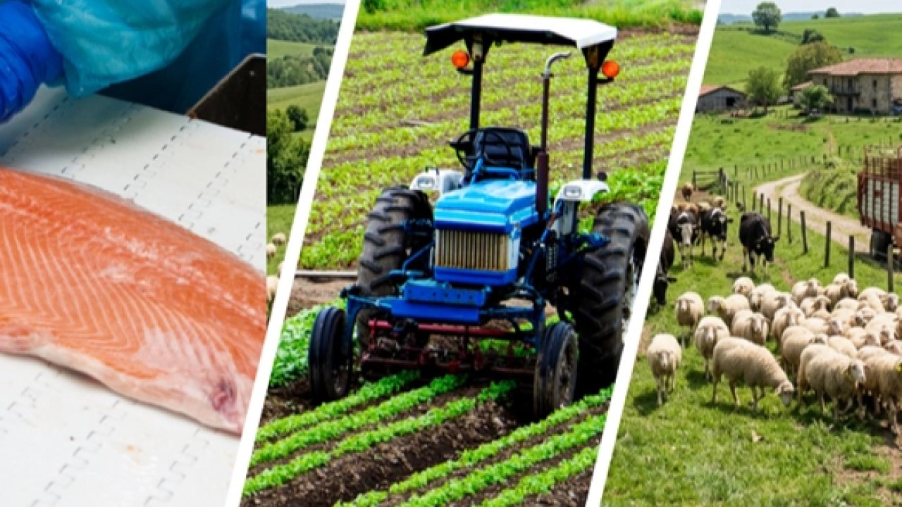 IPARD III’te yeni takvim açıklandı... Kırsala 241 milyon avroluk dev hibe