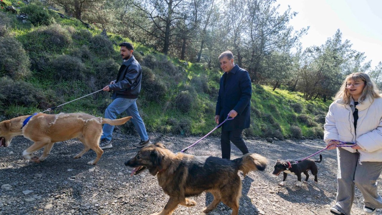 İzmir Büyükşehir'den sahipsiz hayvanlar için çağrı