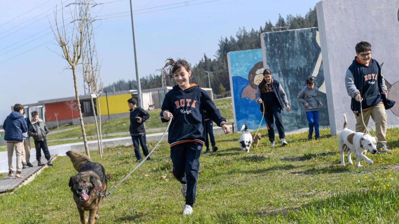 İzmir’de 2 bin 300 patili yuva bekliyor