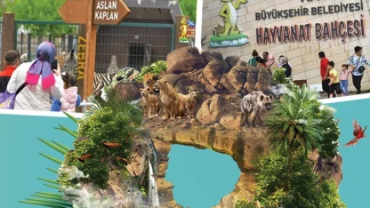 Kayseri'de hayvanat bahçesi ücretsiz
