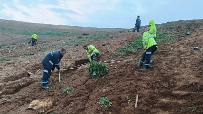 Kocaeli Gebze'de Büyükşehir’le yeşile dokunuş