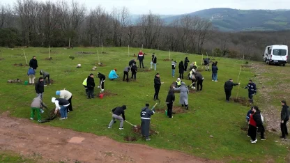 Kocaeli'de fidanlar engelsiz hayat için dikildi