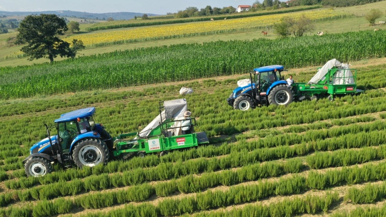 Kocaeli'de kırsal üretimde Büyükşehir’in izi var