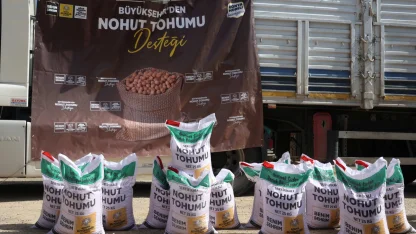 Konya az su isteyen ürünleri yaygınlaştırıyor... Yüzde 50 hibeli nohut tohumları dağıtılıyor