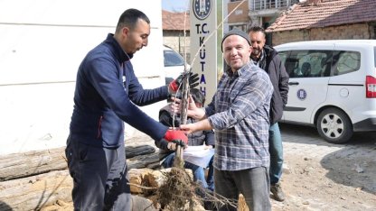 Kütahya’da yerel kiraz türleri toprakla buluşacak