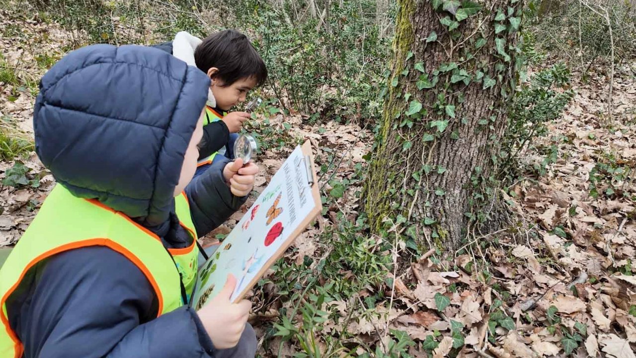 Lokomotif’in minikleri Ormanya’da keşfetti
