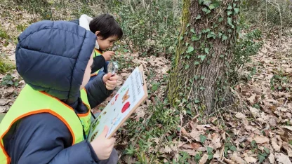 Lokomotif’in minikleri Ormanya’da keşfetti