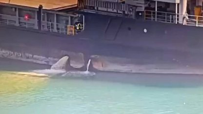 Mersin Limanı’nda denizi kirleten gemiye 13,1 milyon TL ceza