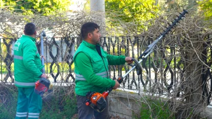 Muğla Milas'ta ilkbahar bakımları sürüyor