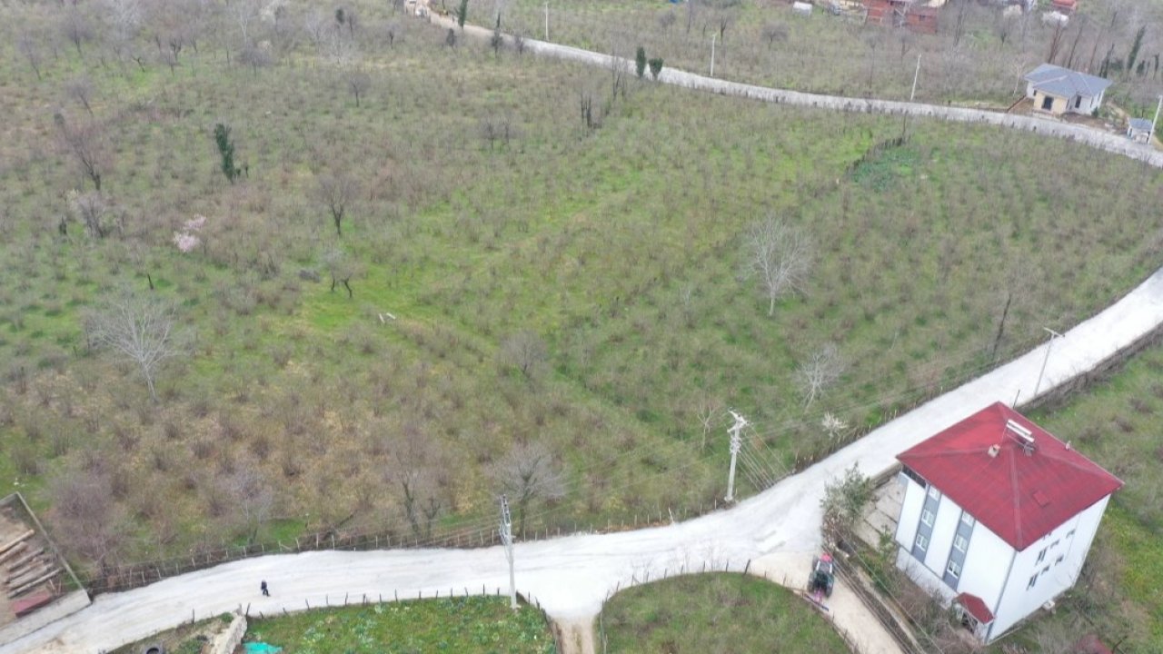 Ordu Büyükşehir’den Kumru’da yol seferberliği