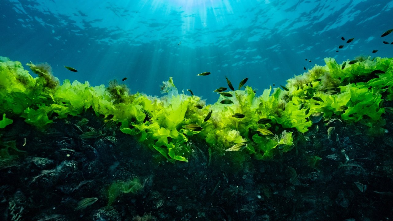 Prof. Dr. Sarı: Suya şaşı bakmayalım