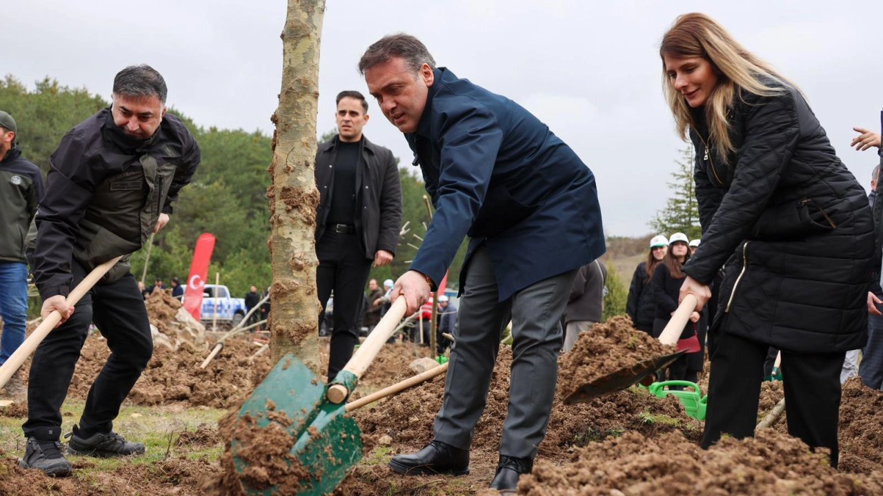 Şeyh Edebali’nin 700. yılında fidanlar toprakla buluştu