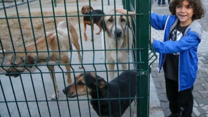 Sokak hayvanları için örnek işbirliği