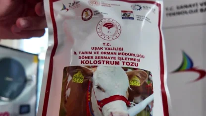 Uşak’ta Türkiye’nin ilk dondurarak kurutma kolostrom tesisi kuruldu... Hayvancılıkta yenilikçi adım hayata geçti
