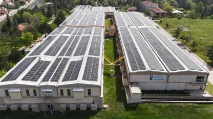 854 ton karbon salınımı önlenerek 34 bin ağaç korundu