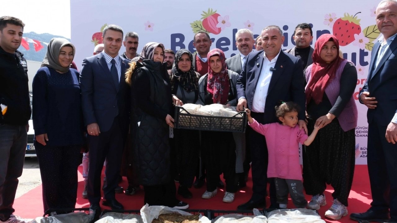 Adana Büyükşehir’den Pozantı’ya 900 bin çilek fidesi desteği