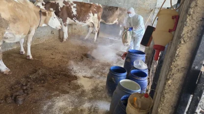 Adıyaman’da zoonoz hastalıklara karşı aşılama sürüyor