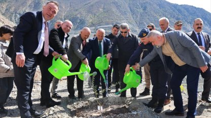 Artvin’de Butko zeytini üretimi yaygınlaşıyor