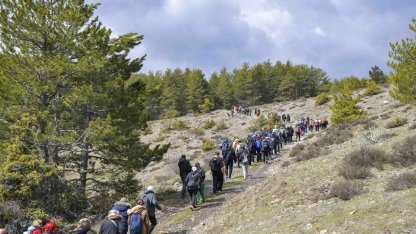 Başkentliler Şahinler Tabiat Parkı’nda doğayla buluştu