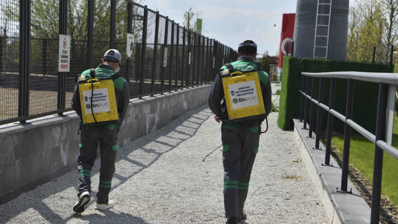 Başkent’te haşereyle etkin mücadele