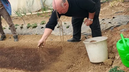 Bilecik Pazaryeri’nde tütün geçim kapısı oluyor